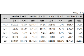 吉县企业清欠服务